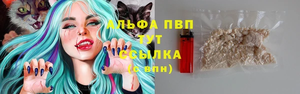 apvp Белокуриха