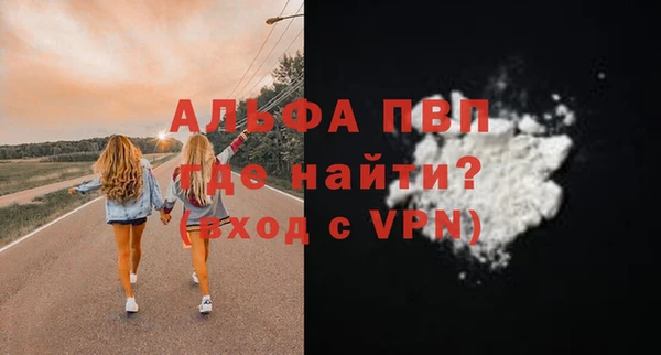 гашик Богданович