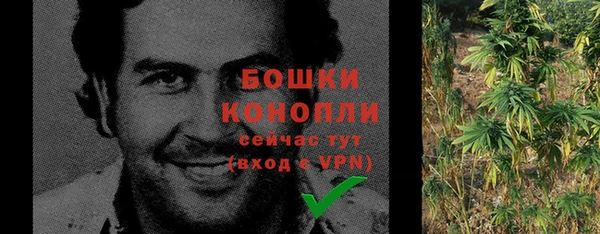 гашик Богданович