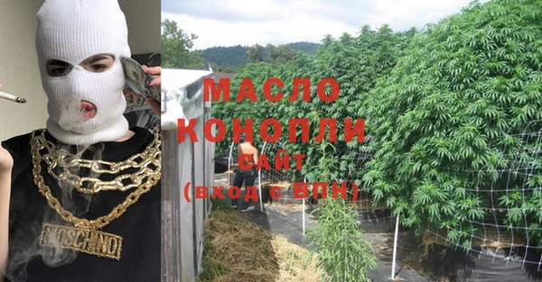 гашик Богданович